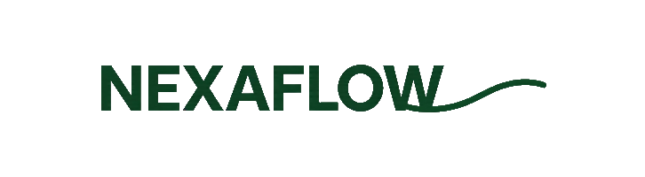 NexaFlow Logo